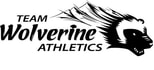Team Wolverine Athletics